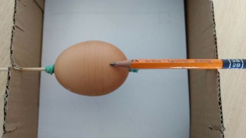 Ein Ei wird sorgfältig auf einen Bleistift in einer Kartonbox platziert, um seine Stabilität zu demonstrieren.
