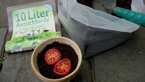 Eine Schüssel mit Anzuchtserde enthält geschnittene Mini-Rispentomaten, während ein Sack Erde daneben steht.