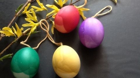 Bunte Deko-Ostereier hängen an Fäden neben einem Zweig mit gelben Blüten auf einem dunklen Tisch.