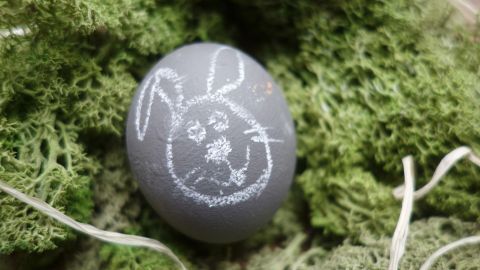 Ein graues Osterei liegt auf grünem Moos und zeigt mit Kreide einen Hasen. Es ist liebevoll dekoriert für Ostern.