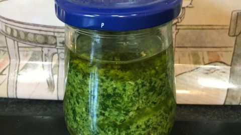 Ein Glas mit Bärlauchpesto steht auf einem Tisch hinter einem dekorativen Hintergrund mit Pflanzen.