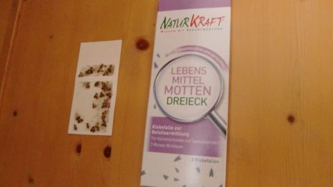 Ein Aufhänger zeigt Informationen über Lebensmittelmotten, während kleine Mottenreste auf der Wand daneben liegen.