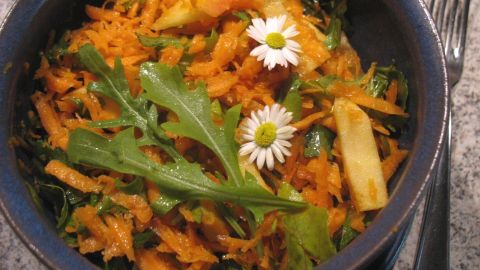 Ein bunter Karotten-Apfel-Rucola-Salat liegt in einer Schüssel, frisch und ansprechend angerichtet mit Blüten.