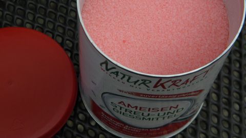 Eine Dose mit rosafarbener Substanz steht offen, bereit, Ameisen im Blumenkübel zu bekämpfen.