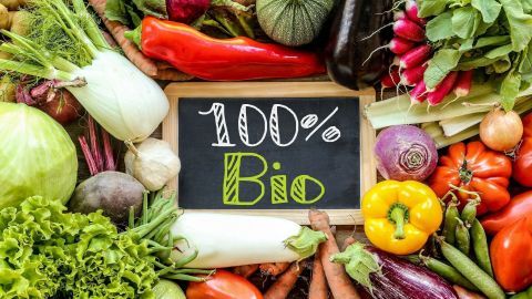 Bunte frische Gemüse und Obst umrahmen eine Tafel mit der Aufschrift „100% Bio“, was hochwertige, regionale Produkte symbolisiert.