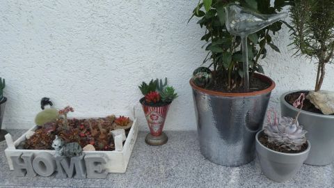 Granitfliesen sind von Pflanzen und Dekoration umgeben; sie verleihen dem Außenbereich ein einladendes Ambiente.