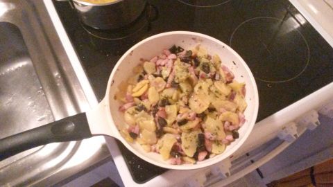 Eine Pfanne mit einem bunten Fertiggericht wird auf einem Herd erhitzt, um es für das Essen vorzubereiten.