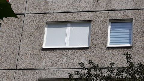 Weiße Fenster mit Sonnenschutzmarkisen sind in einem grauen Mauerwerk angebracht und von grünen Blättern umgeben.