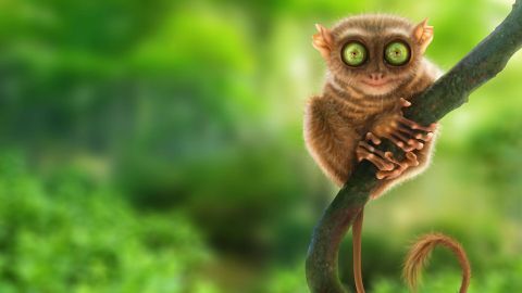 Ein kleiner, neugieriger Tarsier sitzt an einem Ast und schaut mit großen, leuchtenden Augen in den grünen Dschungel.