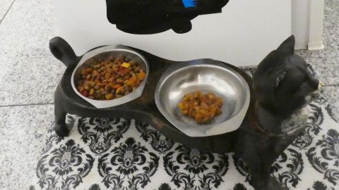 Schalen mit Nassfutter für Katzen stehen vor einer Wand mit einer schwarzen Katze und dem Schriftzug "koffie ZWARTE KAT".
