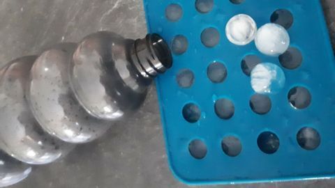 Eine große, graue Wasserflasche liegt auf einer blauen Gießkanne; im Hintergrund sind runde, weiße Blüten zu sehen.
