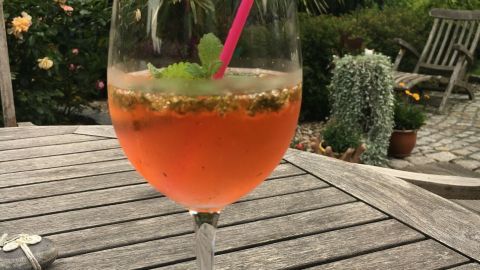 Ein Glas Aperol Spritz mit Limoncello steht auf einem Tisch im Garten, umgeben von Pflanzen und Holzstuhl, mit einem pinken Strohhalm.