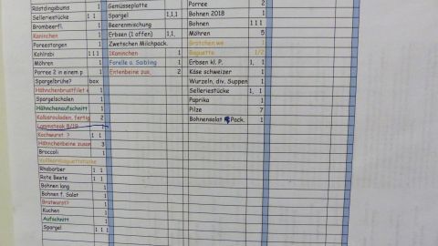 In der Liste wird spaltenweise alles eingetragen, ausgedruckt und an die Tür des Tiefkühlers (er steht im Keller) geklebt. Wenn ich etwas entnehme, wird es durchgestrichen und wenn ich etwas neu reinlege, wird es eingetragen. 
