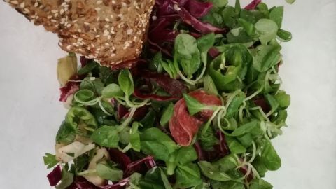 Nicht vegetarischer Salat: Feldsalat mit Putensalami, Artischocken, Grillpaprika und Rotkraut. Dazu schmeckt hervorragend Sesam- oder Leinsamengebäck.