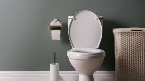 Ein weißes WC steht vor einer grünen Wand, daneben ein Klopapierhalter und ein Wäschekorb, alles sauber und ordentlich.