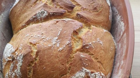 Zwei frisch gebackene Zwillings-Brote mit knuspriger Kruste liegen im Römertopf auf einem Gitterrost in einer hellen Küche.
