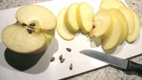 Kerngehäuse von Äpfeln mitessen - schädlich oder gesund?