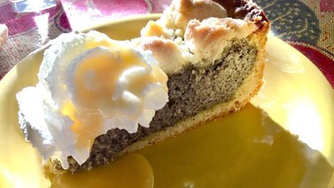 Auf einem gelben Teller liegt ein Stück Mohnkuchen, garniert mit Sahne, auf einem gemusterten Tisch.