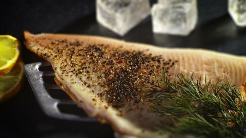 Dekoriertes Fischfilet liegt auf einem Teller, verziert mit Pfeffer und frischem Dill, umgeben von Eiswürfeln und Zitrone.