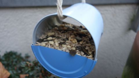 Eine Espressodose hängt an einer Schnur und dient als Vogelfutterstelle, gefüllt mit Saaten, im Außenbereich.
