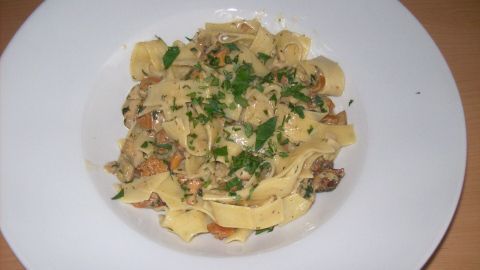 Pasta mit Waldpilzen liegt auf einem weißen Teller, garniert mit frischen Kräutern, in einer gemütlichen Küchenumgebung.