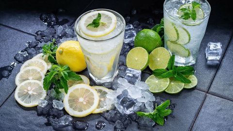 Ein Glas mit Zitronenstücken und ein weiteres mit Limettenstücken stehen auf Eis, umgeben von frischen Früchten und Minze.