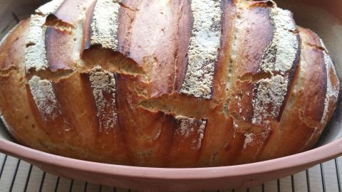 Ein golden-braunes Brot mit knuspriger Kruste liegt in einem Tontopf auf einem Gitter in einer hellen Küche.