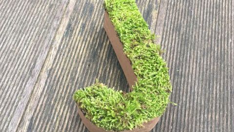 Ein Moosbuchstabe in Form eines „J“ steht auf einer Holzfläche und zeigt lebendig grünes Moos als Dekoration.
