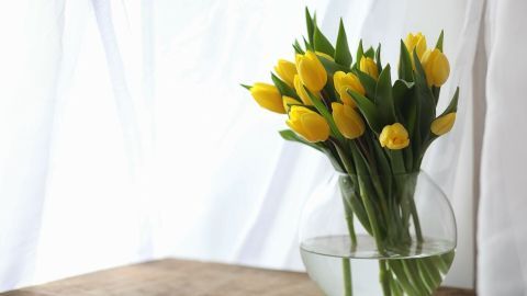 Ein Strauß gelber Tulpen steht in einer Glasvase mit Wasser auf einem Holztisch, umgeben von einem hellen, lichtdurchlässigen Vorhang.