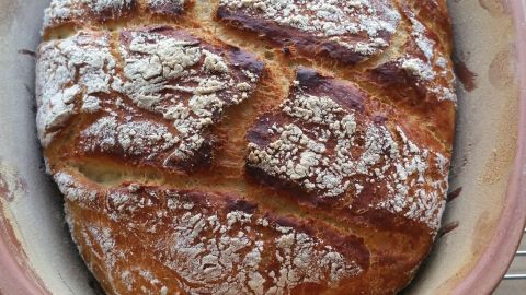 Saftiges &  knuspriges Brot mit Kartoffelbrei