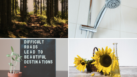 Ein Wald zeigt hohe Bäume, während ein Duschkopf im Badezimmer förmlich Wasser spritzt. Sonnenblumen stehen neben einem Schild mit inspirierendem Text.
