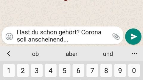 Ein rotes Daumen-nach-unten-Symbol wird in einer WhatsApp-Nachricht angezeigt, die falsche Informationen über Corona thematisiert.