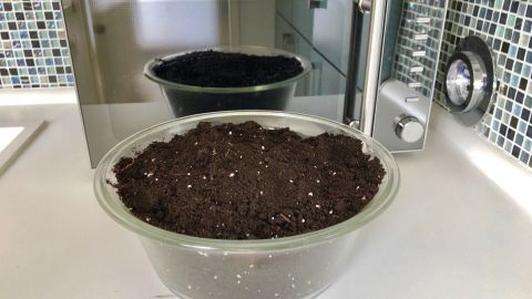 Eine Glasschüssel mit Blumenerde steht auf einer Küchenoberfläche, während ein Spiegel die Umgebung reflektiert.