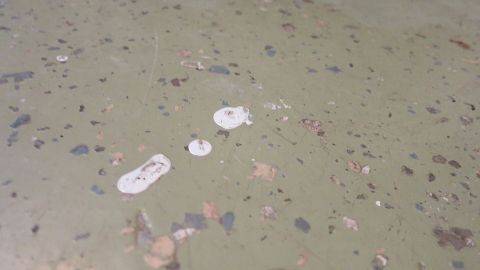 Geruchloses und chemiefreies Entfernen von Farbresten auf Böden und Türen mit einer Lösung aus Soda und Wasser. Kleine Farbkleckse liegen verstreut auf einem grünen Boden, während der Reinigungsvorgang von Wandfarben stattfindet.