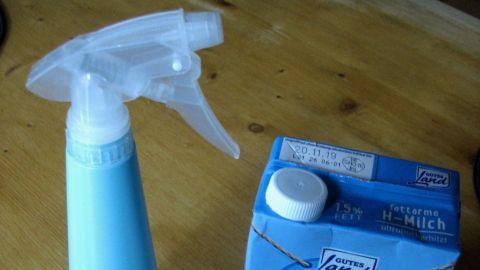 Eine blaue Sprühflasche steht neben einem Milchkarton auf einem Holztisch, bereit, um Blattläuse ohne Chemie zu bekämpfen.