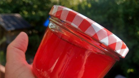 Ein transparentes Glas mit Tannenwipfelhonig wird von einer Hand gehalten, vor einer grünen Gartenlandschaft.