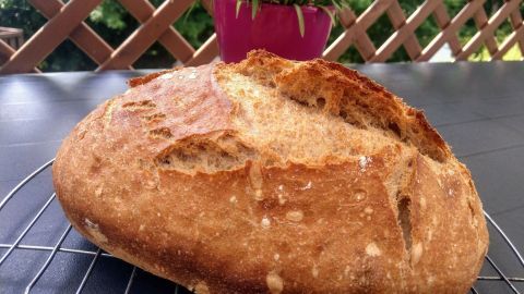 Ein frisch gebackenes Dinkelmischbrot ruht auf einem Gitter, während im Hintergrund eine blühende Pflanze steht.