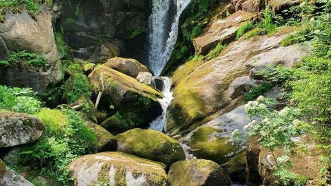 Ein Wasserfall fließt über große, moosbedeckte Steine im Schwarzwald, umgeben von üppigem, grünem Wald.