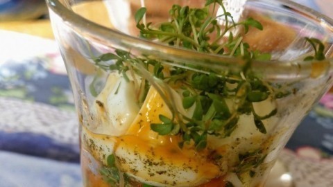 Lieblingsfrühstück: Eier im Glas mit Kresse