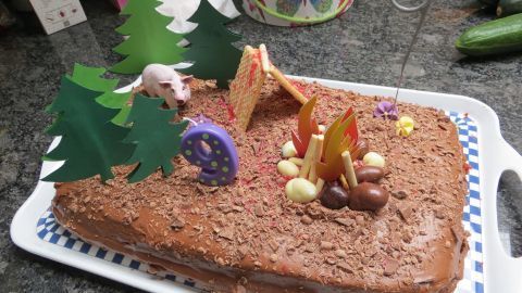 Eine kreative Lagerfeuer-Torte zeigt einen herzlichen Geburtstag mit Dekorationen aus Schokolade, Lebkuchen und bunten Bäumen.