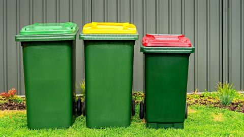 Drei Mülltonnen stehen im grünen Gras: eine grüne, eine gelbe und eine rote, um Fliegenzucht in der Mülltonne zu reduzieren.