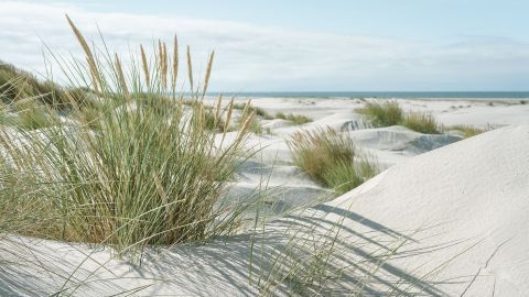Die Nordseeinsel Amrum ist zwar klein, aber wer sich auf sie einlässt, wird in ihrer Schönheit Ruhe und Glück finden.