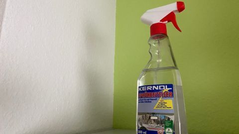 Eine Sprayflasche steht auf einem Tisch, bereit zum Einsatz gegen Wespen in einem hellgrünen Raum.