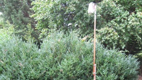 Ein langer Stab mit einer Erntevorrichtung steht auf der Wiese, um Obst von der hohen Hecke zu pflücken.