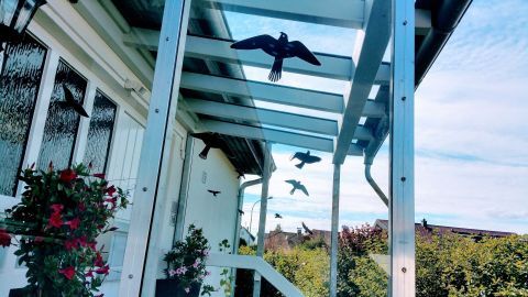 Auf einem Glasdach sind mehrere Warnvögel-Aufkleber angebracht, um Vögel vor Kollisionen zu schützen. Der Bereich ist hell beleuchtet.
