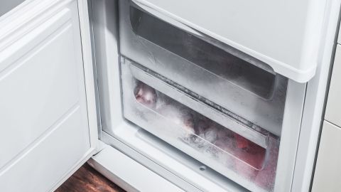 Ein offen stehender Gefrierschrank zeigt gefrorene Lebensmittel, die vor Lebensmittelmotten geschützt werden sollen.