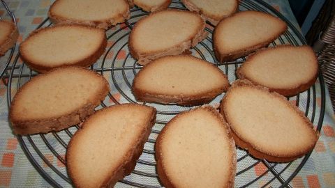 Auf einem Kuchengitter liegen frisch gebackene Anisbrotscheiben, die abkühlen, um eine knusprige Textur zu erreichen.