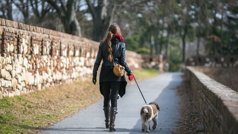 Eine Frau geht mit ihrem Hund auf einem Weg, umgeben von einer Steinfassade und trockenen Bäumen im Hintergrund.