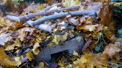 Ein Winterquartier für Igel liegt im Laub, umgeben von Zweigen und bunten Blättern, bereit zum Schutz.