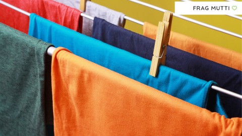 Wäscheständer Test & Vergleich ▷ 7 günstige Empfehlungen